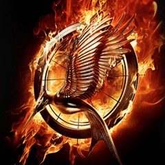 Em Chamas – Catching Fire. EU FUI!