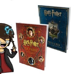 Harry Potter Film Wizardry e Harry Potter Page To Screen