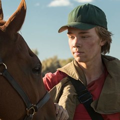 Rota Selvagem mostra o drama e o amadurecimento da vida de um adolescente (e seu cavalo)