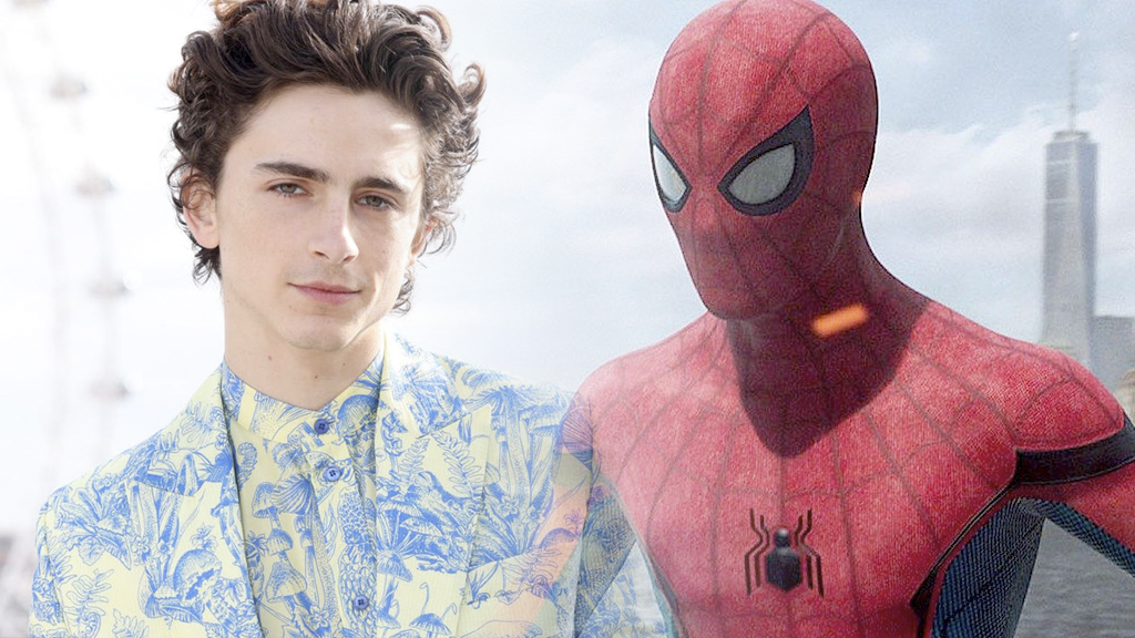 Timothée Chalamet Harry Osborn