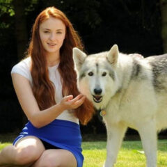 Sansa Stark adotou sua loba gigante na vida real