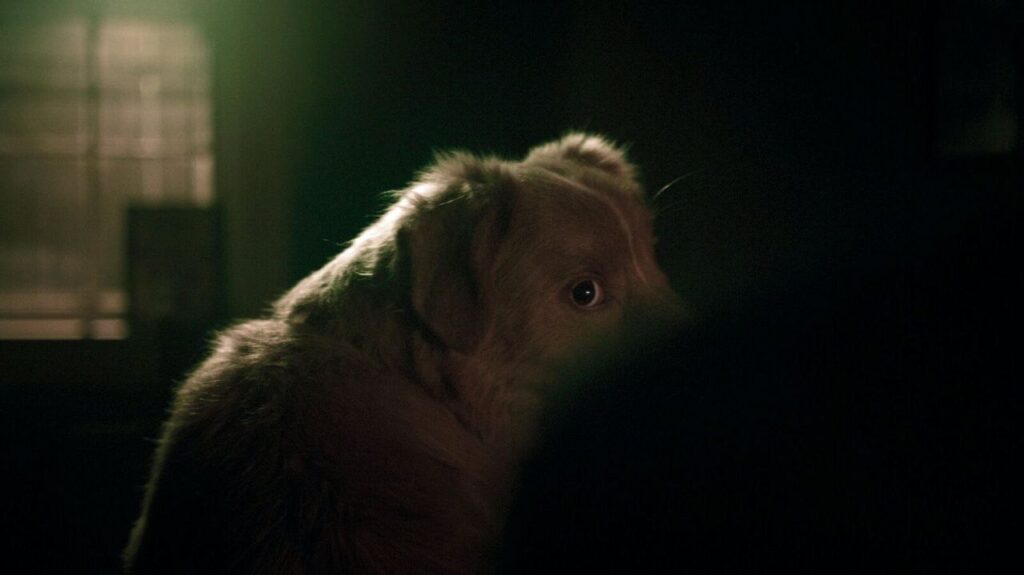 Universo 42 Bom Menino filme 2025