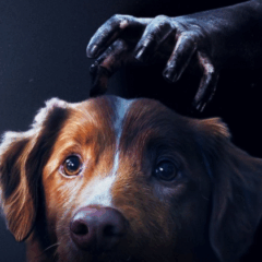 Bom Menino é o terror mais original deste ano | CRÍTICA